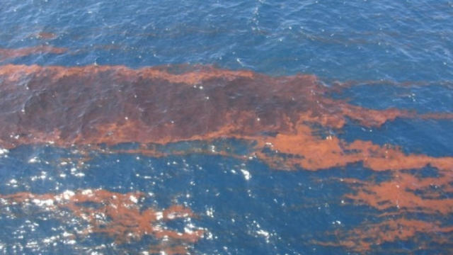 oil-spill-5-1-10.jpg 
