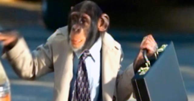 Super Bowl Ads Where Tibet and Groin Jokes Sit SidebySide CBS News