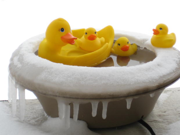 ducks-in-spa.jpg 