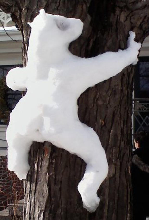 snowbear-jimmy-lee-shelton.jpg 