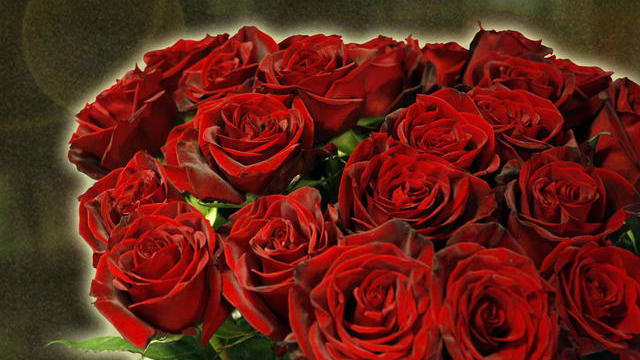 valentines_flowers_roses_998166.jpg 