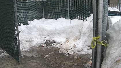 Bodies of Mom, Toddler Found in Dumpster Near Their Mass. Home 