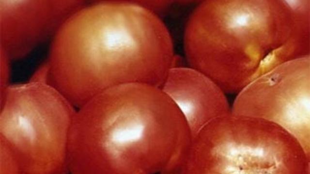 tomatos.jpg 
