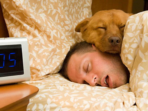 man sleeping with dog 