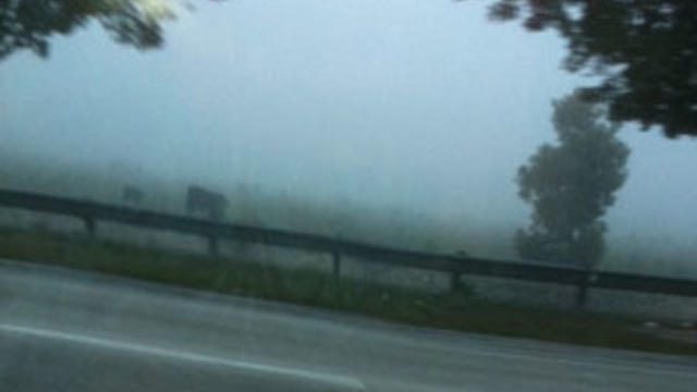 fog9.jpg 