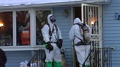 New York house full of animals, calf discovered, says police 