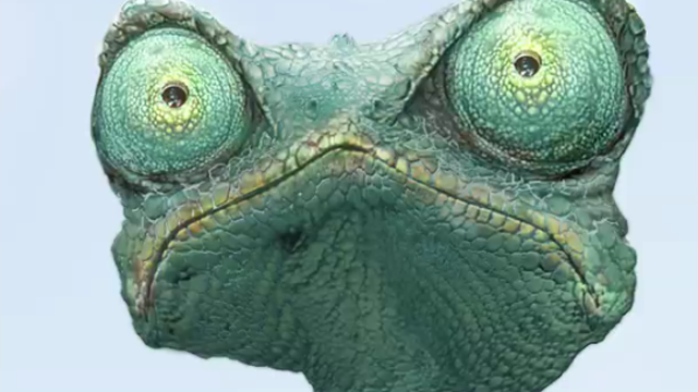 rango.png 