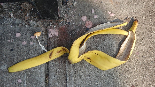 California woman sues after slipping on banana peel 