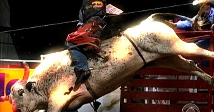 Is bull riding too dangerous for children? - CBS News