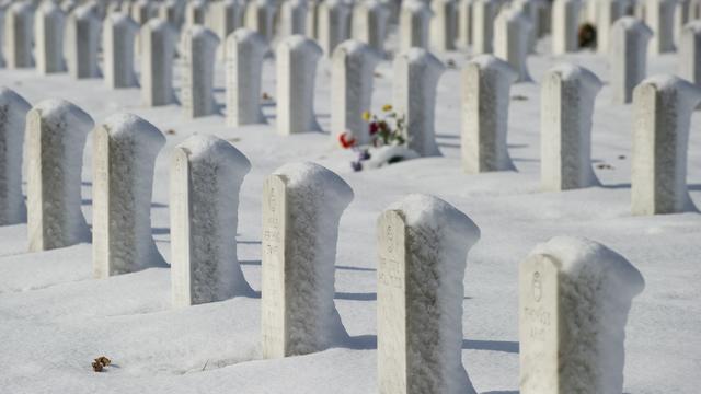 Arlington cemetery 