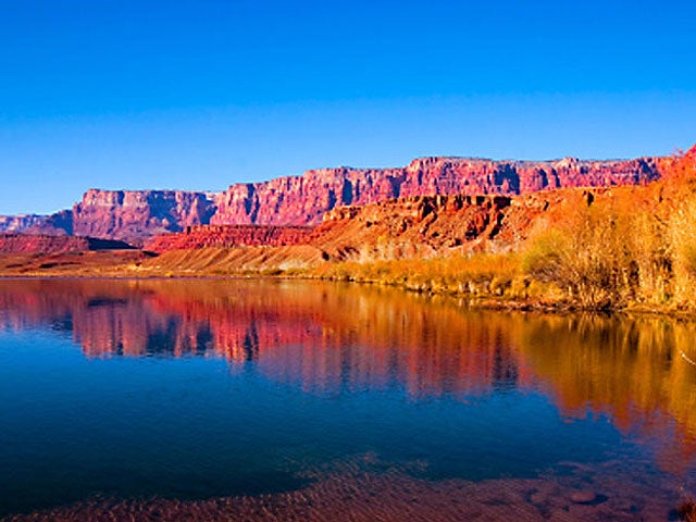 arizona_iStock_000003046718.jpg 
