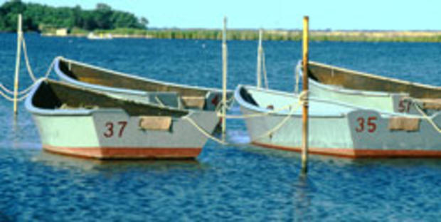 Eastern Neck Rental Boats  