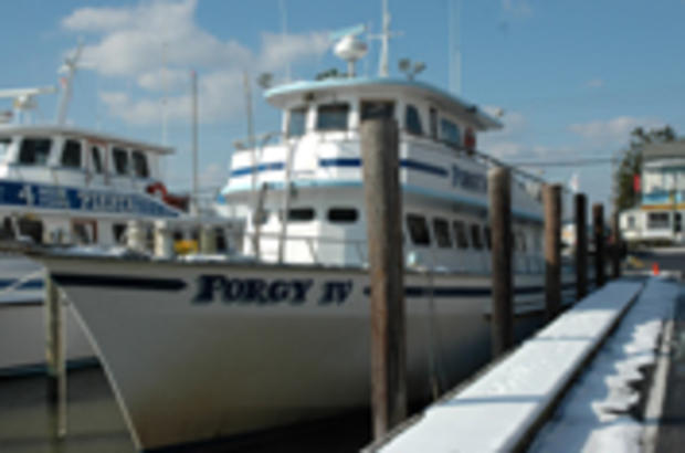 Cape May Fishing Charters  