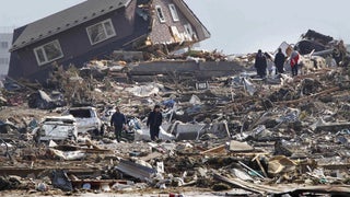 洋書 Japan and Natural Disasters Researchers study surge of sea critters from 2011 Japanese