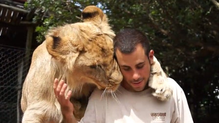 Lions_Give_Love.jpg 