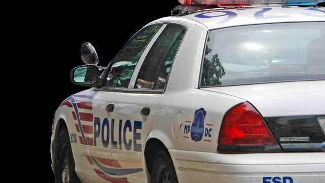 Handcuffed woman squeezes through window and drives off in police car, crashes 