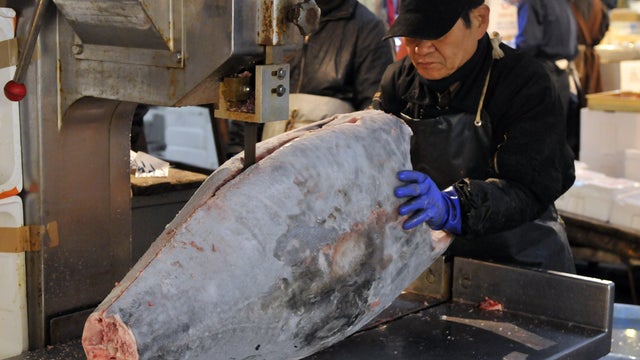 A fishmonger saws in half a bluefin tuna at Tokyo's Tsukiji fish market 