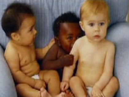 Victims: Adoption website is a scam