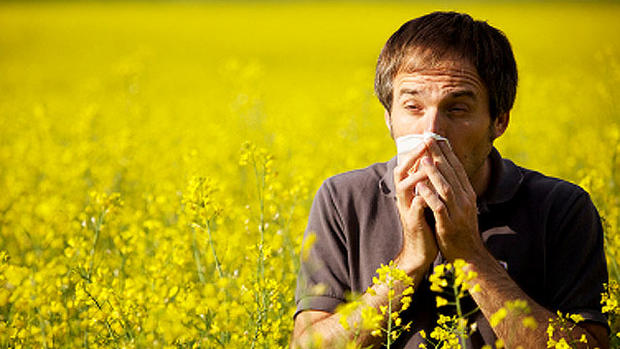 Achoo! 12 worst cities for allergy sufferers 