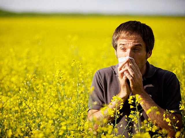 allergy_iStock_000013055247_1.jpg 