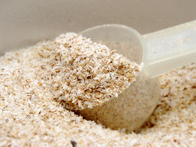 psyllium_iStock_00001126518.jpg 