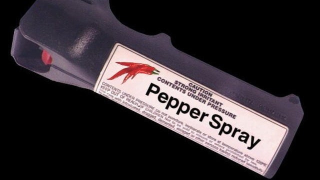 Police pepper spray tantrum-throwing 8-year-old, threatened to stab teachers 