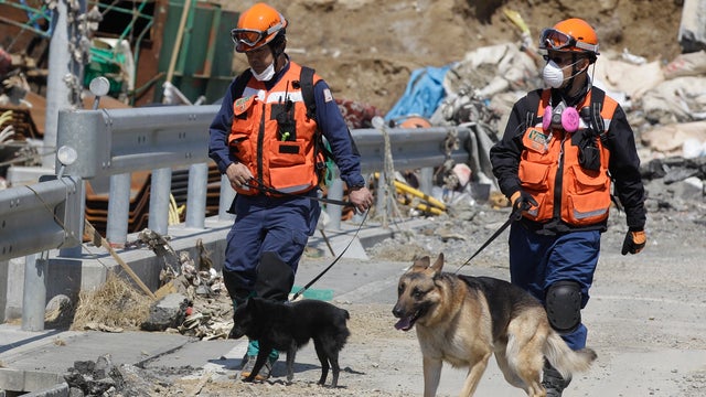 Rescuers and dog search for quake victims 