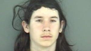 BB gun spree lands Va. man in jail 