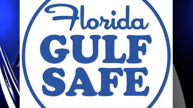 florida-gulf-safe-1.jpg 