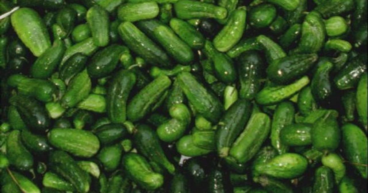 NC Company Recalls Cucumbers In Fla., 8 Other States CBS Miami