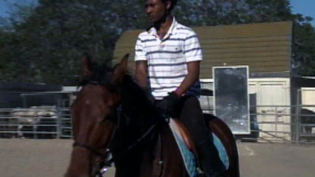compton_horse.jpg 