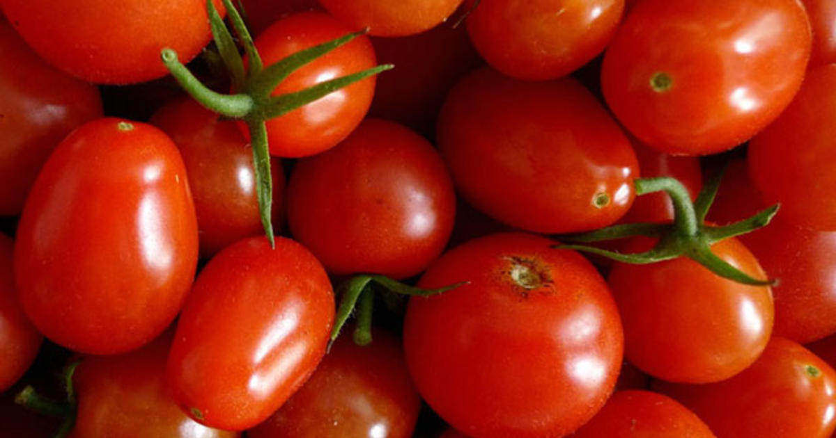 Salmonella fears spark grape tomato recall details) CBS News