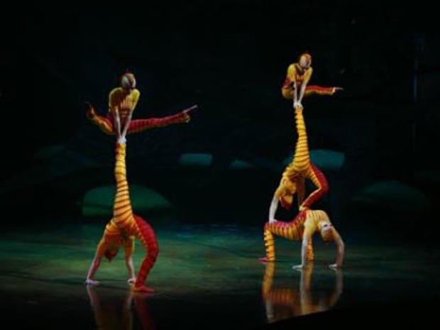 OVO by Cirque du Soleil 