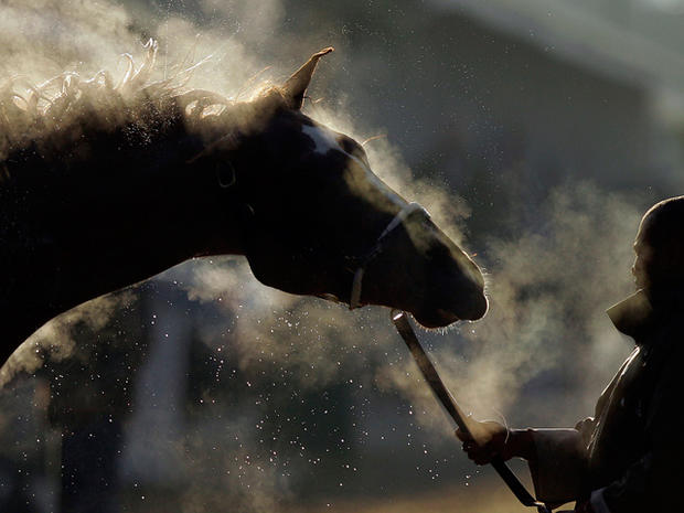 Steam rises off a horse as it gets a bath 