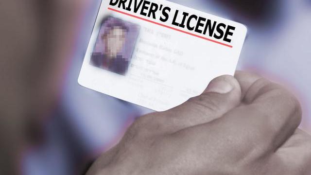 drivers-license-license.jpg 