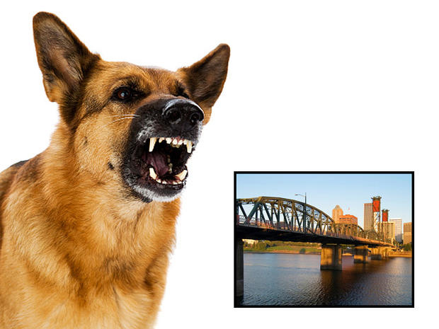 dog bites, dogs, cities, portland, oregon 