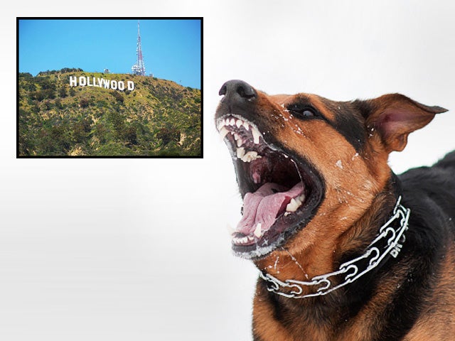 dog bites, dogs, cities, los angeles, california 