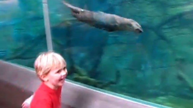 kid and otter 