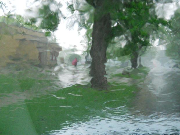 slammed-by-a-may-afternoon-rainstorm-5-23-11.jpg 