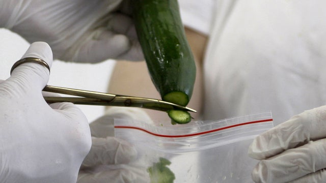 e. coli, bacteria, 4x3, cucumber 