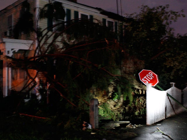 Trees and debris lay in a front yard  