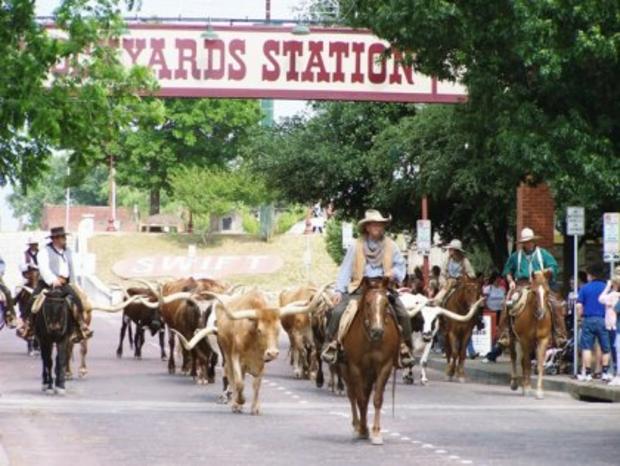 Cattle Drive-Stockyards Station 