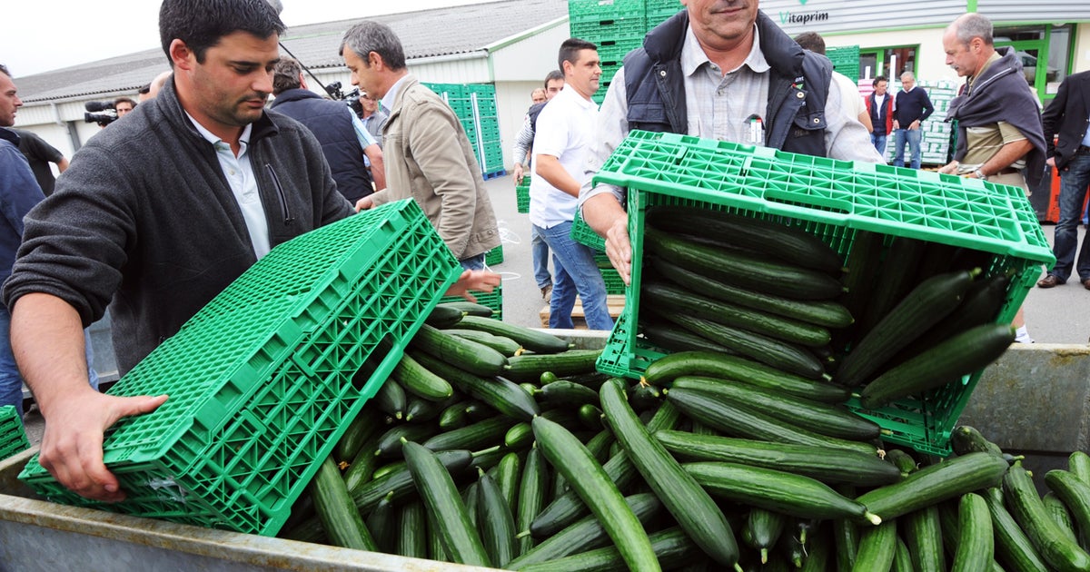 If bean sprouts didn't cause deadly E. coli outbreak, what did? CBS News