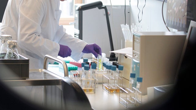 Worker examining samples of sprouts for E. coli 