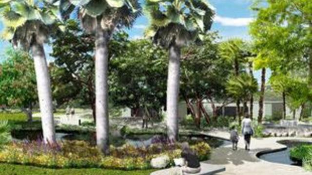miami-beach-botanical-garden.jpg 