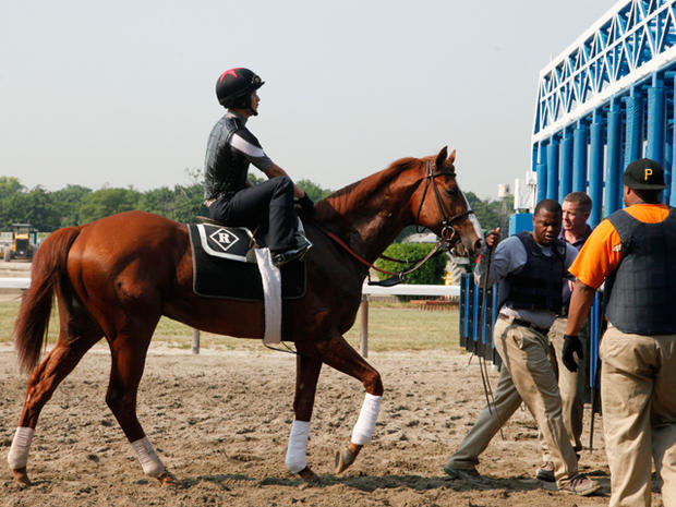 Shackleford is schooled in the starting gate 