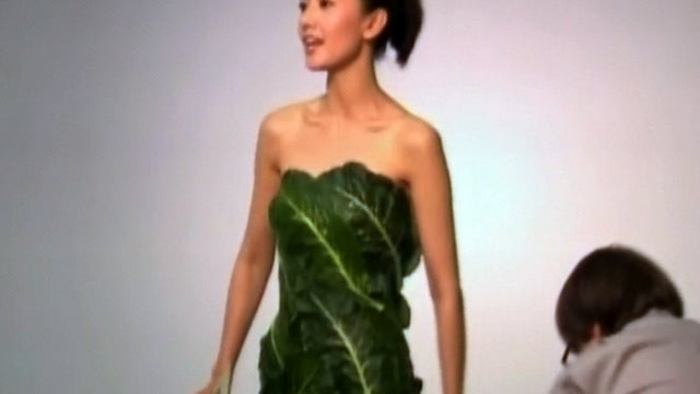 lettucedress_609.jpg 