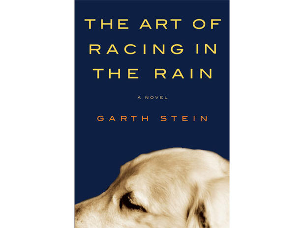 art-racing-in-rain 