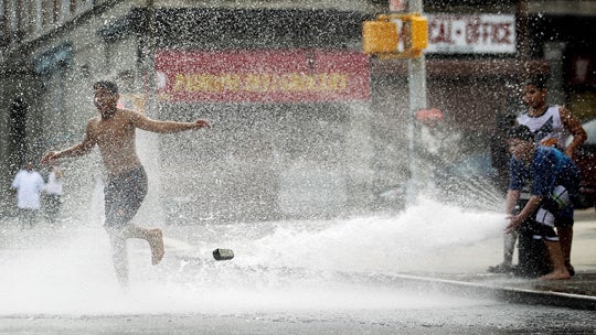 Children play in water sprayed from a fire hydrant  