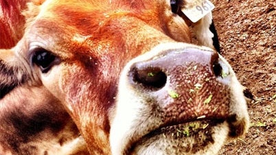 The most incredible Instagram photos we've ever seen 